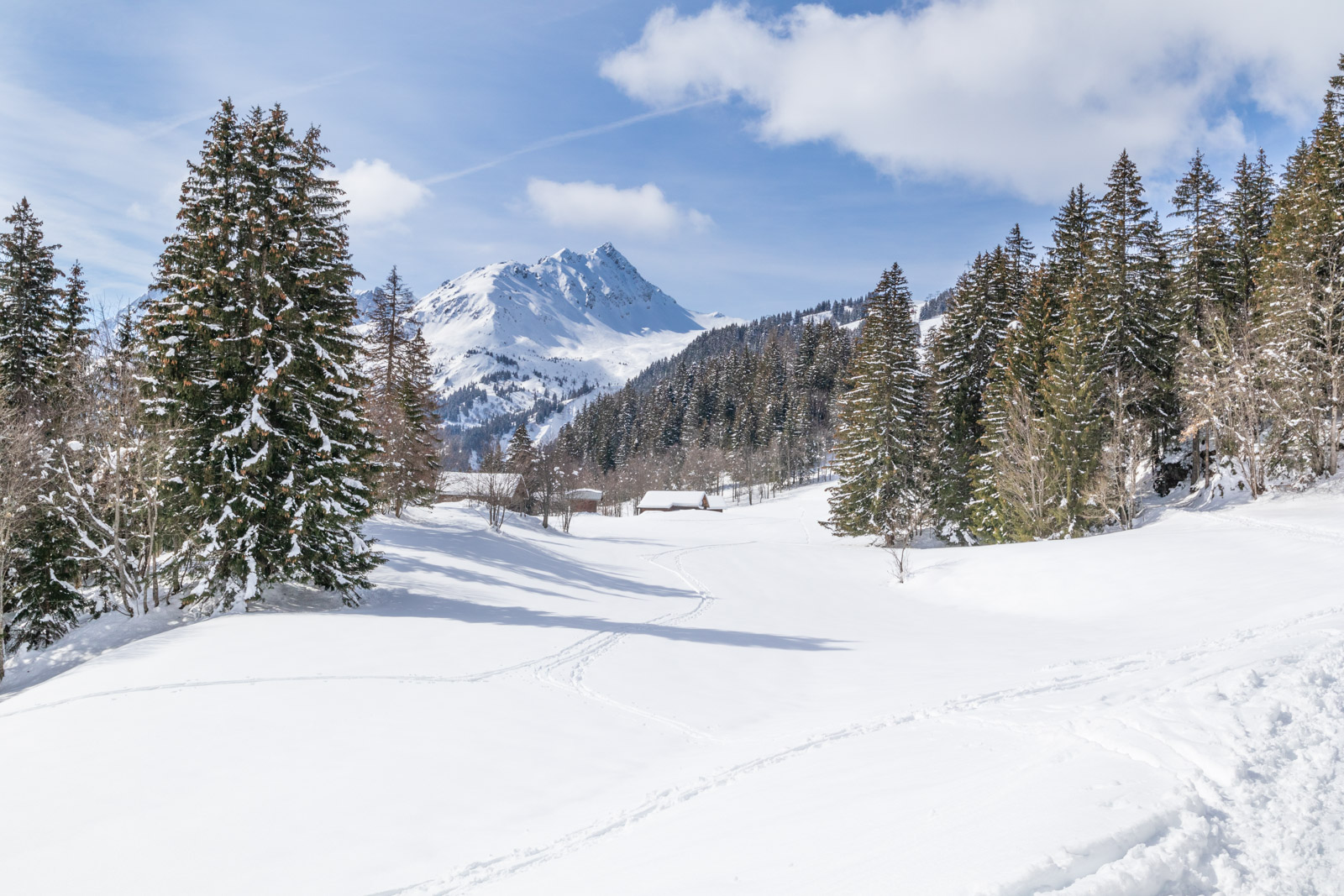 Still plenty of snow  